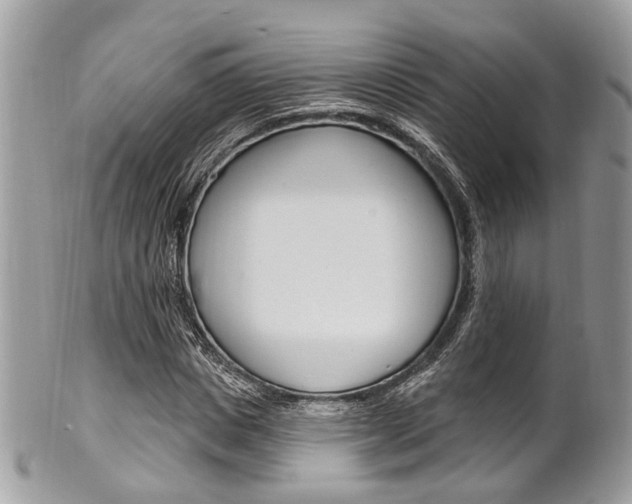 X0000101420825200807071029