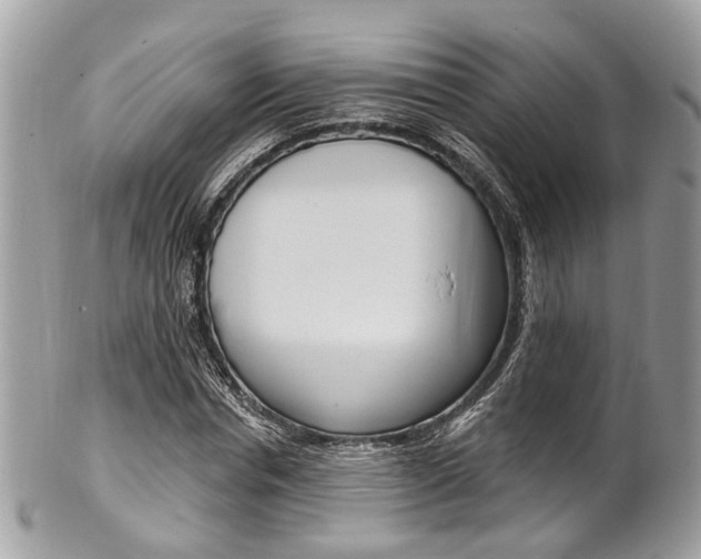 X0000101420826200807071029