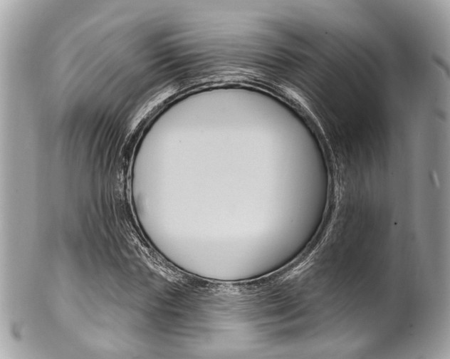 X0000101420827200807071029