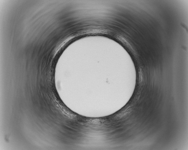 X0000101420828200807071029