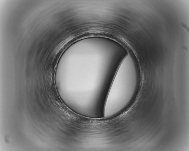 X0000101420829200807071029