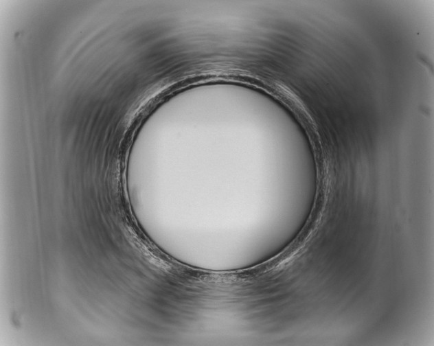 X0000101420831200807071029