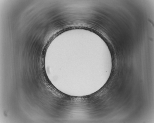 X0000101420832200807071029