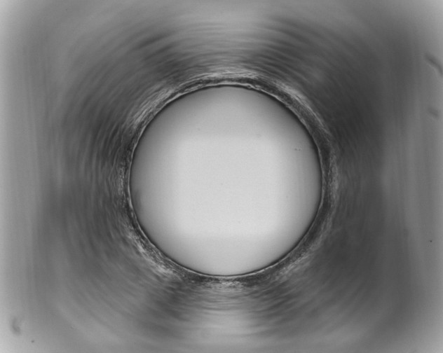 X0000101420833200807071029