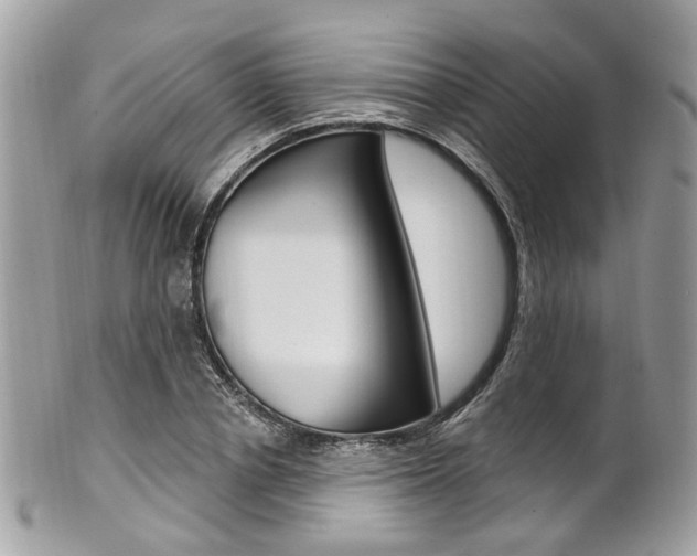 X0000101420834200807071029