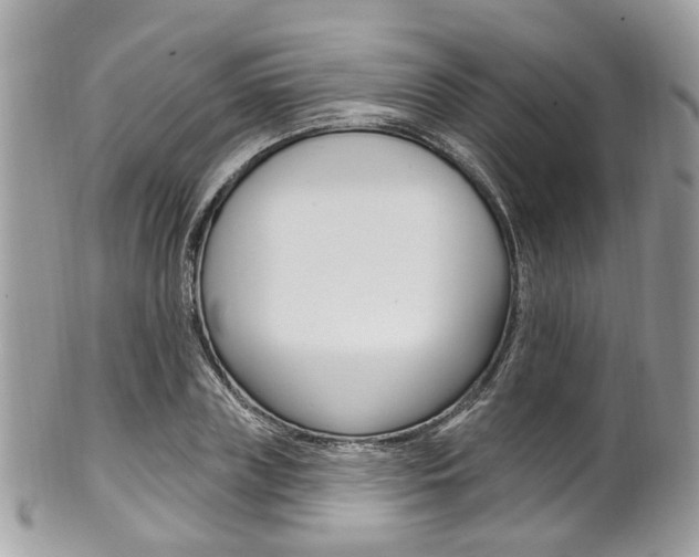 X0000101420835200807071029
