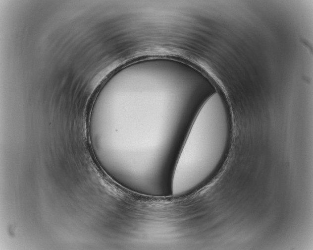 X0000101420837200807071029
