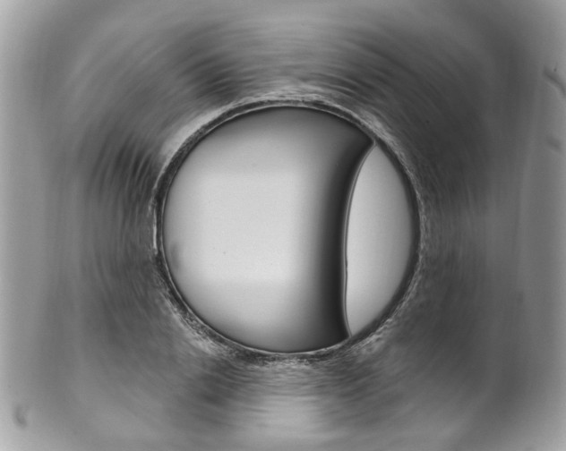 X0000101420838200807071029