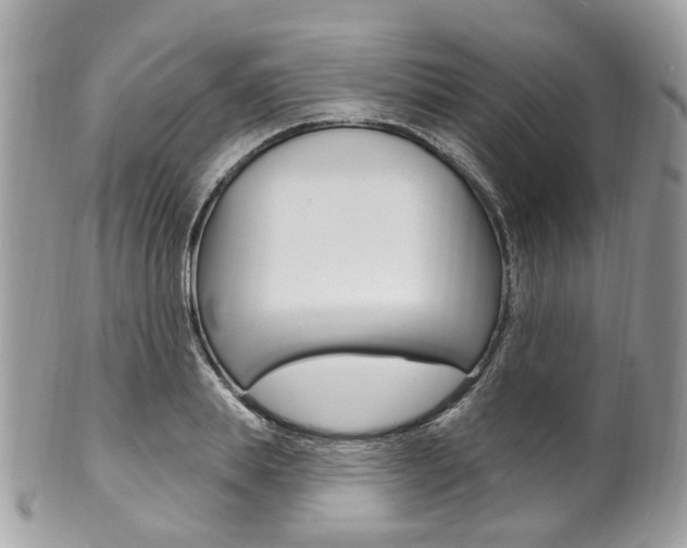 X0000101420839200807071029