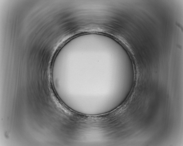 X0000101420840200807071029