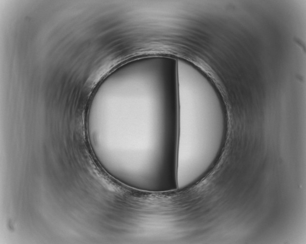 X0000101420842200807071029