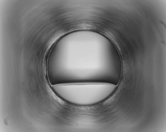 X0000101420843200807071029