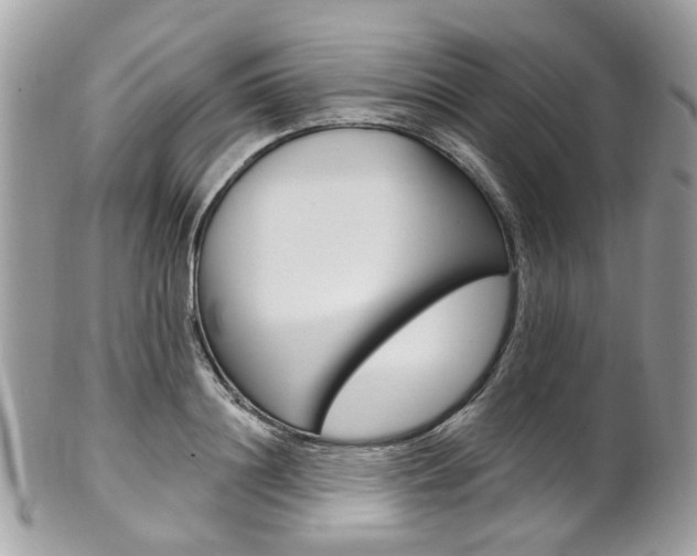 X0000101420844200807071029