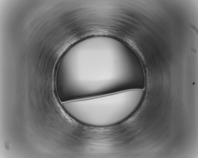 X0000101420845200807071029