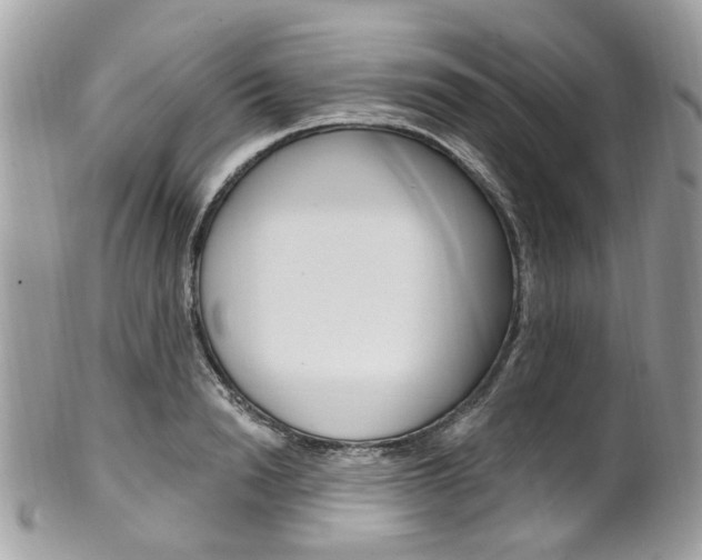 X0000101420846200807071029