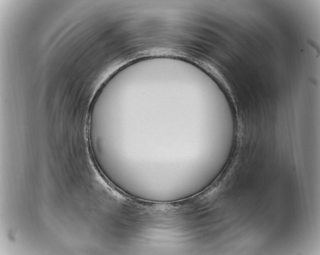 X0000101420847200807071029