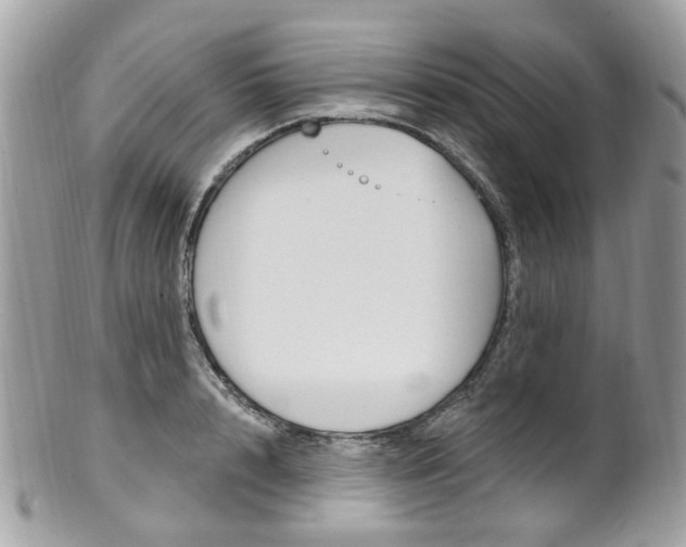 X0000101420848200807071029