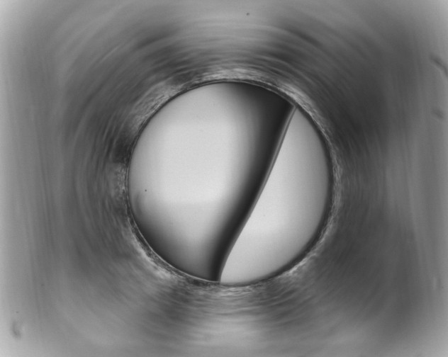 X0000101420849200807071029