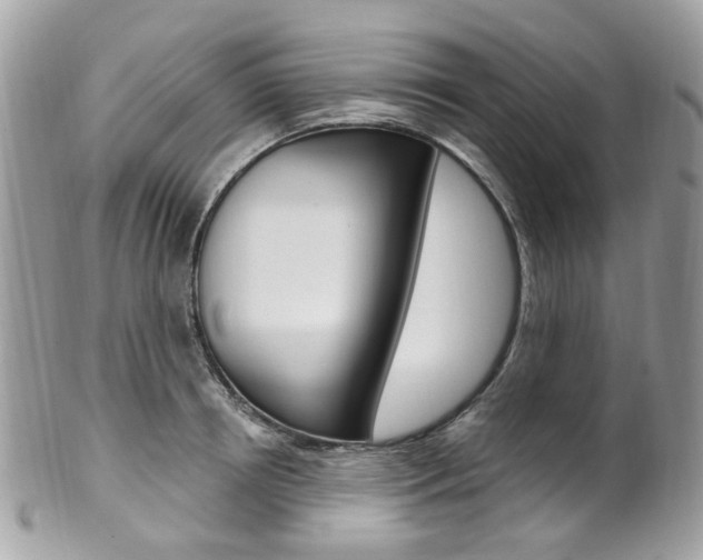 X0000101420850200807071029