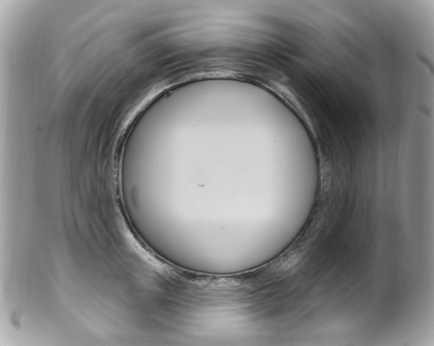 X0000101420851200807071029