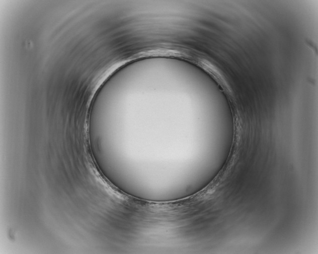 X0000101420852200807071029