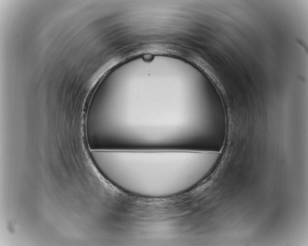 X0000101420853200807071029