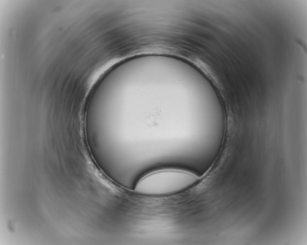 X0000101420854200807071029