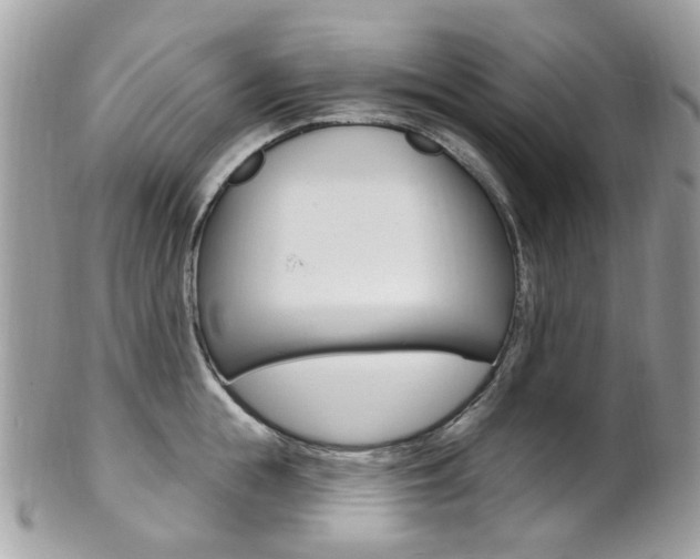 X0000101420855200807071029