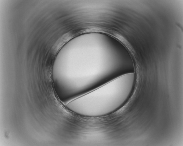 X0000101420857200807071029
