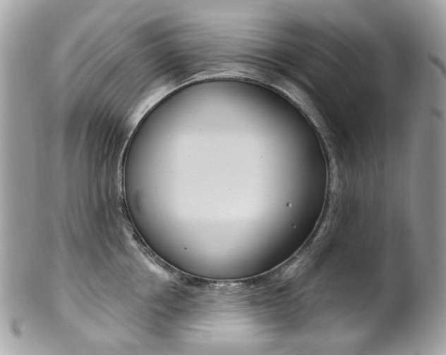 X0000101420858200807071029