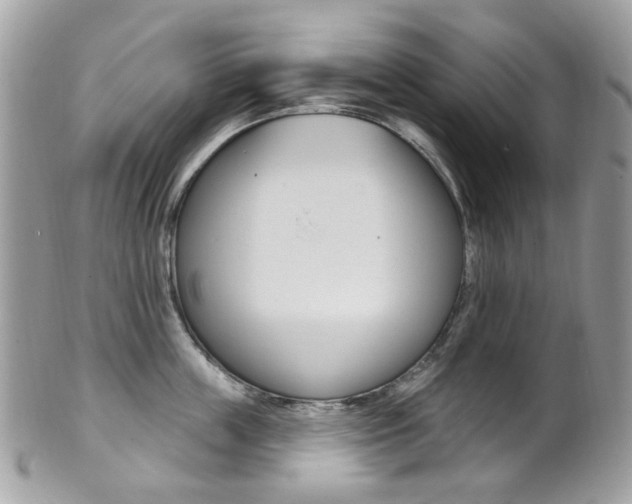 X0000101420859200807071029