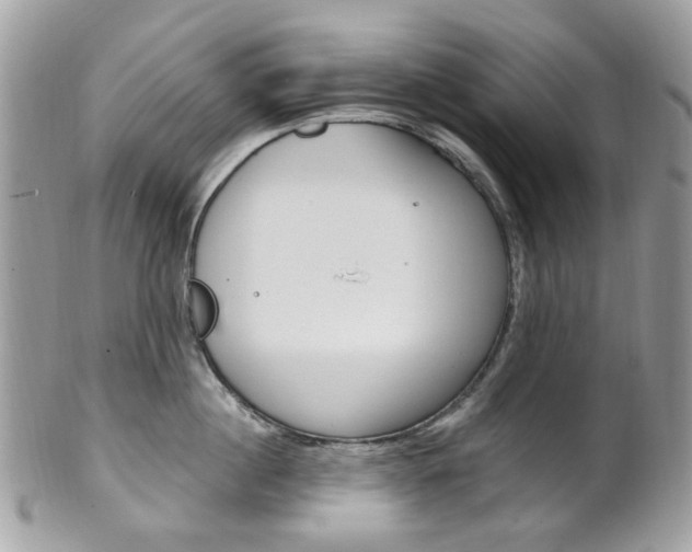 X0000101420860200807071029