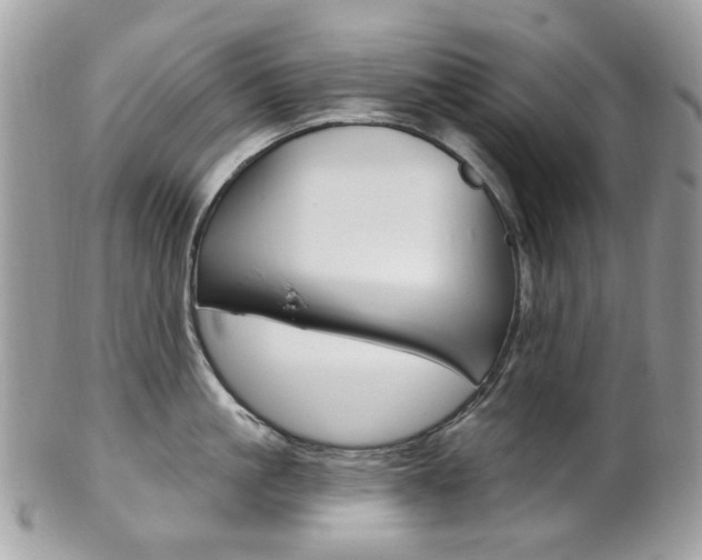 X0000101420861200807071029