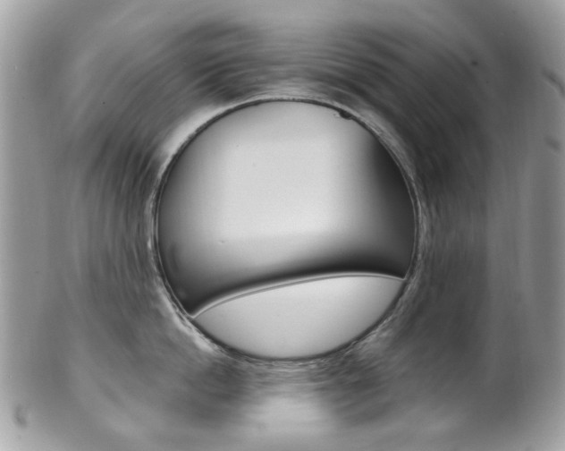 X0000101420862200807071029
