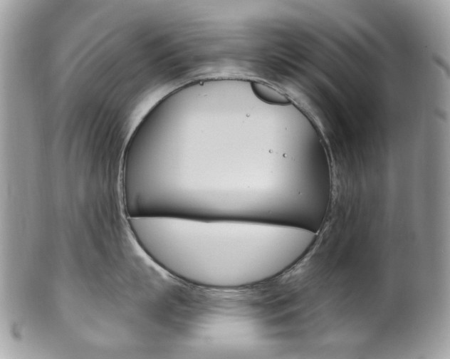 X0000101420863200807071029