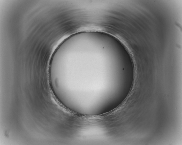X0000101420864200807071029