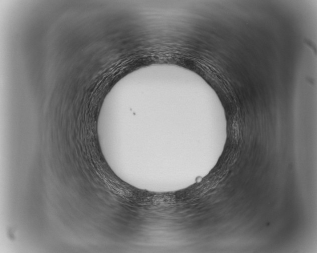 X0000101420865200807071029