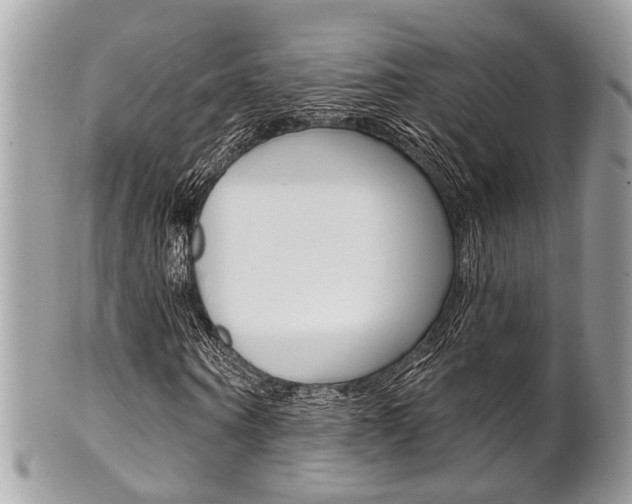 X0000101420866200807071029