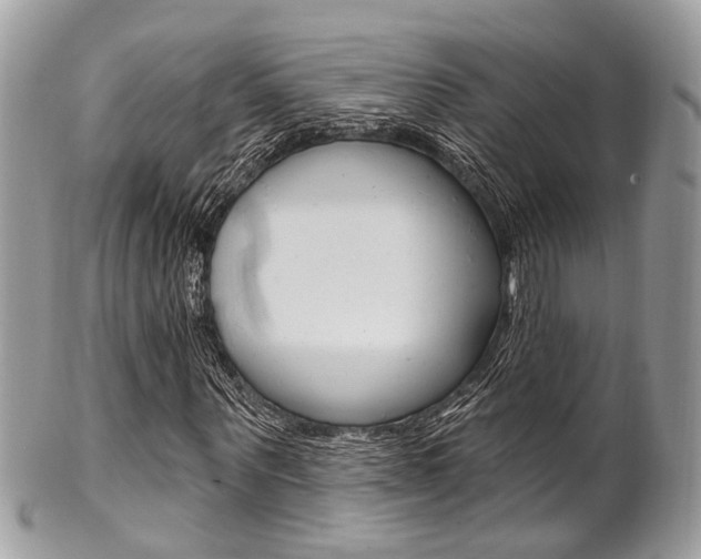 X0000101420867200807071029