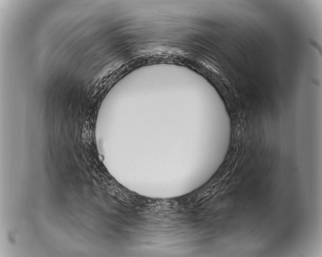 X0000101420869200807071029