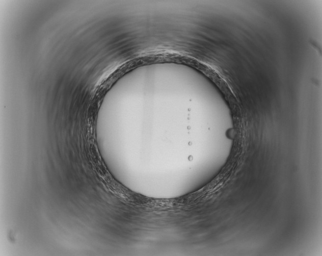 X0000101420871200807071029