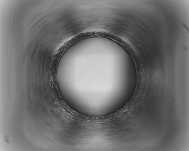 X0000101420872200807071029
