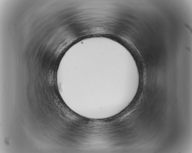 X0000101420873200807071029