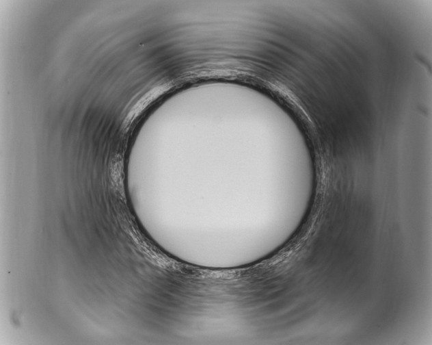 X0000101420874200807071028