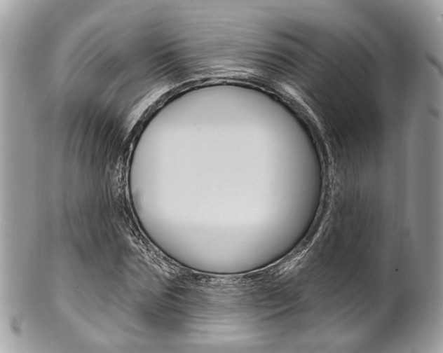 X0000101420875200807071028