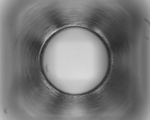 X0000101420876200807071028