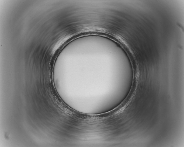 X0000101420877200807071028