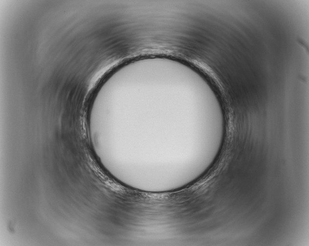 X0000101420878200807071028