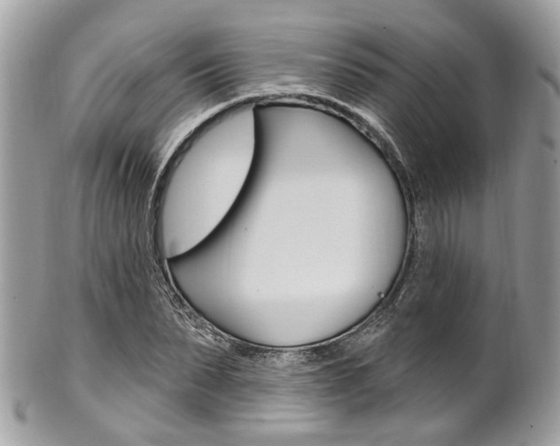 X0000101420879200807071028