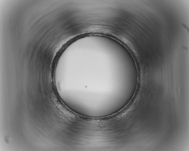 X0000101420880200807071028
